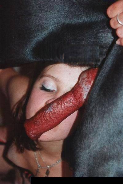 foto de zoofilia-menina lambendo pinto roxo e duro do cachorro