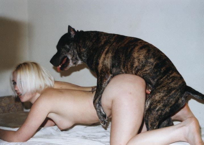 foto de loira dando a xoxota pro cachorro