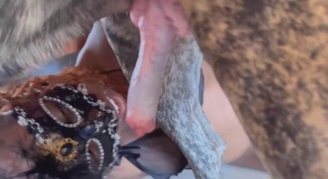 fodas com animais dogbond DVDs Porco comendo a bucetona da putona com tesão Zoofilia com uma loira gostosa cavalo mete com força na buceta Cachorro comendo e gozando no cu da casada bunduda