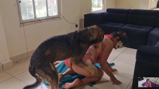 Filmes para Download xoxota fodas com animais Pornô de cavalo gozando dentro de mulher sexo com cavalos e uma MILF novinha gostosa brasileira dando a sua buceta para o cavalo cavalo de pau duro