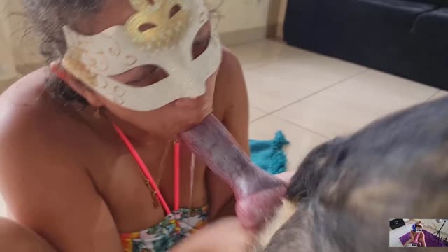 Filmes para Download xoxota fodas com animais animal sexo tubo sexo com cavalos e uma MILF cachorro comendo buceta Lise private club animalsex