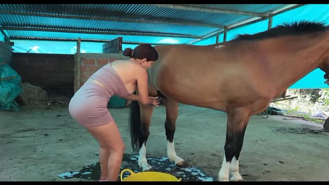 Filmes para Download xoxota fodas com animais Mia, Triana, Zaina, Valeria, Shantal, Lady Zoe, Andy, Xiomara Zoofilia Raven having sex with Dog animal sexo tubo k9lady