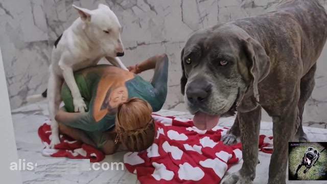 Filmes para Download xoxota fodas com animais Mulheres brasileiras trepam com garanhão Assista pornografia de bestialidade gratuita Mulher Transando Com Cachorro Zoofilia com uma loira gostosa