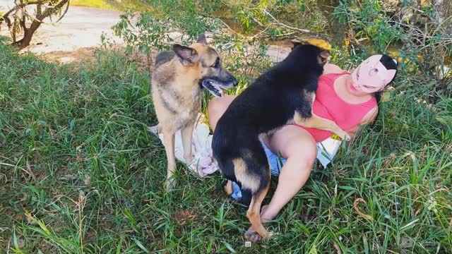 Filmes para Download xoxota fodas com animais cachorro comendo buceta Vídeo de sexo bestial grátis mulher chupando a pica do cachorro pornô zoofilia com oral