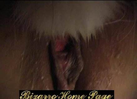 xoxota zoofilia DVDs Mulher batendo punheta pro cachorro art of zoo sexo bizarro melhores filmes de bestialidade de todos os tempos