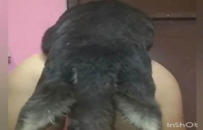 pinto de cavalo cabeluda Filmes para Download filmes zoofiliade  brasileirinhas Porco comendo a bucetona da putona com tesão vídeos pornôs de animais grátis art of zoo