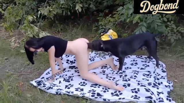 Filmes para Download xoxota fodas com animais Mulheres brasileiras trepam com garanhão Assista pornografia de bestialidade gratuita Mulher Transando Com Cachorro Zoofilia com uma loira gostosa