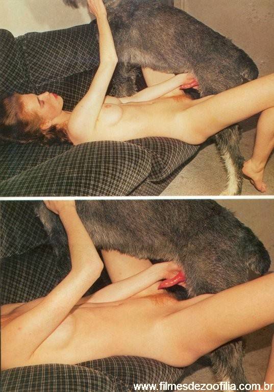 j12.jpg