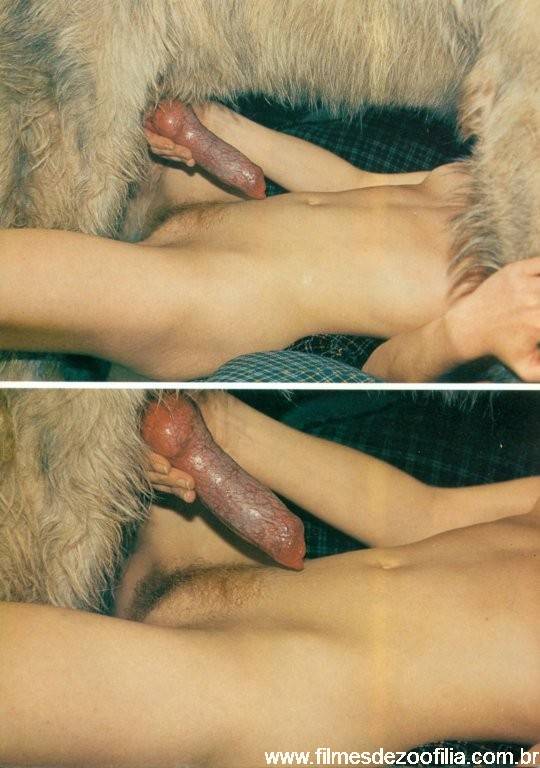 k43.jpg