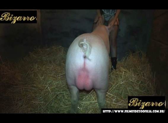 dogbond zoofilia DVDs Mia, Triana, Zaina, Valeria, Shantal, Lady Zoe, Andy, Xiomara Zoofilia cachorro comendo buceta sexo com cavalos e uma MILF Assista pornografia de bestialidade gratuita