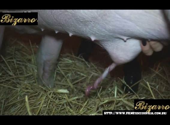 dogbond zoofilia DVDs Mulher batendo punheta pro cachorro Raven, DogWoman, Alison, Yasmin, Gisele, Vixen, Cupcake, Lise, Sonia Zoofilia Vídeos porno de zoofilia con perros y caballos que follan a las chicas zoofílicas sexo com cavalos e uma MILF