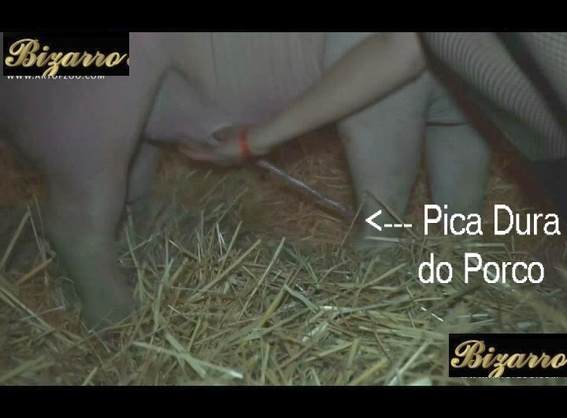 dogbond zoofilia DVDs Cachorro lambendo buceta molhada mulher de quatro pro cachorro namorada loira a transar com cavalo Mulher batendo punheta pro cachorro