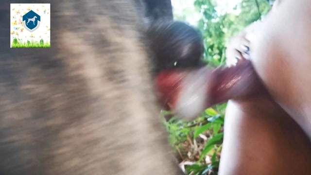 Filmes para Download xoxota fodas com animais zoofilia selvagem ZOO pornô com animais. vídeos gratuitos de bestialidade cavalo gozando na buceta filmes zoofiliade  brasileirinhas