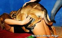 sexo bizarro com animais cavalo e cachorro comendo buceta de mulher zoofilia pesada any1 Mulher trepando com caval&atilde;o enquanto marido cornao assiste site de tubo de sexo zoo animal Zoosection porco comendo a buceta