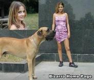 sexo bizarro com animais cavalo e cachorro comendo buceta de mulher zoofilia pesada bilanapic Seamless cachorro comendo buceta Porco comendo a bucetona da putona com tes&atilde;o art of zoo