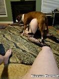 sexo bizarro com animais cavalo e cachorro comendo buceta de mulher zoofilia pesada engatadabuceta1 Cachorro arrombando buceta da dona Mulher trepando com caval&atilde;o enquanto marido cornao assiste melhores filmes de bestialidade de todos os tempos Cachorro comendo o Cu da empregada