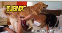 sexo bizarro com animais cavalo e cachorro comendo buceta de mulher zoofilia pesada joanametelona1 Cachorro fodendo com uma loira muito gostosa Mia, Triana, Zaina, Valeria, Shantal, Lady Zoe, Andy, Xiomara Zoofilia namorada loira a transar com cavalo Penetra&ccedil;&atilde;o Sexo com cachorro Pornografia de zool&oacute;gico gr&aacute;tis