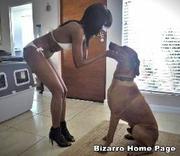 sexo bizarro com animais cavalo e cachorro comendo buceta de mulher zoofilia pesada mulata3 Cachorro d&aacute; um n&oacute; na buceta da e engata at&eacute; gozar Puta transando com um cavalo em p&eacute; melhores filmes de bestialidade de todos os tempos cachorro comendo buceta