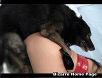 sexo bizarro com animais cavalo e cachorro comendo buceta de mulher zoofilia pesada pesseguinha7 Porco Comendo Cuzinho De Mulher Quarentona Cachorro comendo o Cu da empregada Mia, Triana, Zaina, Valeria, Shantal, Lady Zoe, Andy, Xiomara Zoofilia Filme porn&ocirc; de zoofilia com uma mulher indiana