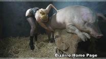 sexo bizarro com animais cavalo e cachorro comendo buceta de mulher zoofilia pesada porcoadoravel3 Filme porn&ocirc; de zoofilia com uma mulher indiana site de tubo de sexo zoo animal Filmes Porn&ocirc; Com Cachorros - Zoofilia Amadora Cachorro lambendo buceta molhada
