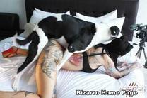 sexo bizarro com animais cavalo e cachorro comendo buceta de mulher zoofilia pesada ravenprimeirafoda5 Cachorro arrombando buceta da dona O javali gozador na buceta da garota nova Assista pornografia de bestialidade gratuita Cachorro comendo e gozando no cu da casada bunduda