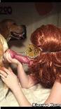 sexo bizarro com animais cavalo e cachorro comendo buceta de mulher zoofilia pesada ruivonachupetao1 Mulher Negra chupando pica de cavalo namorada loira a transar com cavalo V&iacute;deo de sexo bestial gr&aacute;tis Seamless