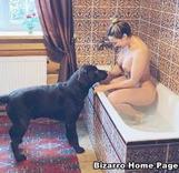 sexo bizarro com animais cavalo e cachorro comendo buceta de mulher zoofilia pesada verodandoemcasa2 alisonprod Bestiality woman having sex with animals Seamless melhores filmes de bestialidade de todos os tempos