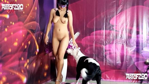 peluda  sexo com animais sexo bizarro dogbond Nova tomando uma rolada de porco na vagina Seamless k9lady porco comendo a buceta