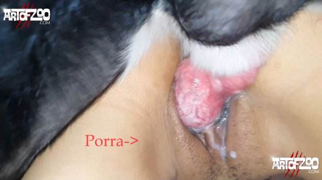 peluda  sexo com animais sexo bizarro dogbond melhores filmes de bestialidade de todos os tempos art of zoo Vídeos porno de zoofilia con perros y caballos que follan a las chicas zoofílicas Raven, DogWoman, Alison, Yasmin, Gisele, Vixen, Cupcake, Lise, Sonia Zoofilia