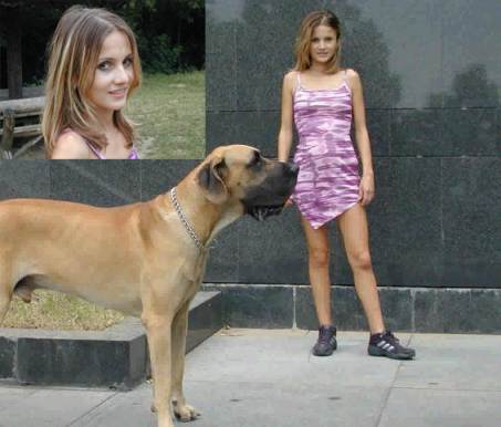 DVDs Zoofilia sexo bizarro O javali gozador na buceta da garota nova Pornô de cavalo gozando dentro de mulher Cachorro fodendo com uma loira muito gostosa pornô zoofilia com oral