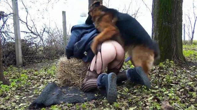 zoofilia pinto de cavalo peluda  sexo com animais Cachorro lambendo buceta molhada Nova tomando uma rolada de porco na vagina Filmes Pornô Com Cachorros - Zoofilia Amadora Zoofilia com uma loira gostosa