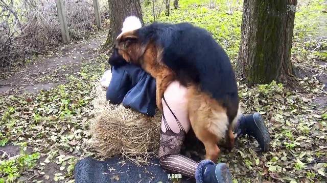 zoofilia pinto de cavalo peluda  sexo com animais Nova tomando uma rolada de porco na vagina Cachorro arrombando buceta da dona cachorro comendo buceta Mulher latina fazendo sexo com cavalo