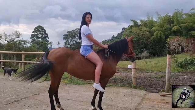 Filmes para Download xoxota fodas com animais cachorro comendo buceta Vídeo de sexo bestial grátis mulher chupando a pica do cachorro pornô zoofilia com oral