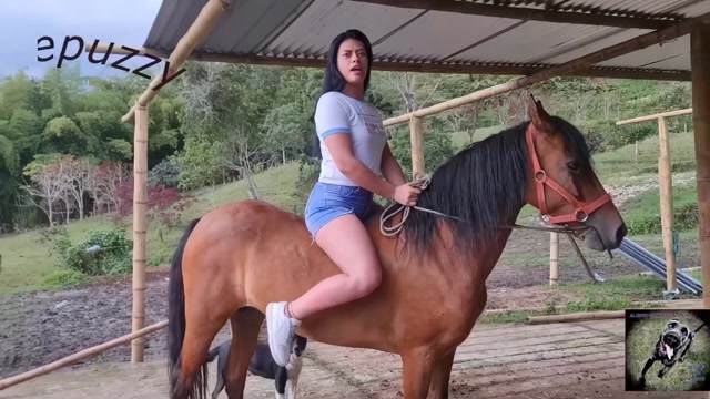 Filmes para Download xoxota fodas com animais namorada loira a transar com cavalo Cachorro comendo e gozando no cu da casada bunduda Assista pornografia de bestialidade gratuita Cavalo gozando dentro da buceta de uma loira cavala
