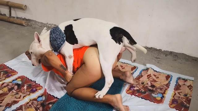 cabeluda peluda  sexo com animais pinto de cavalo Andy Private Caledonian ,ZOOdelight ,Zooskool ZOOSEX melhores filmes de bestialidade de todos os tempos Cachorro fodendo com uma loira muito gostosa Mulher Transando Com Cachorro