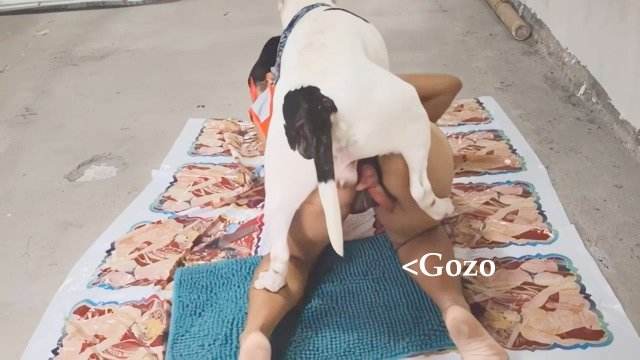 cabeluda peluda  sexo com animais pinto de cavalo art of zoo Cachorro comendo o Cu da empregada Mia, Triana, Zaina, Valeria, Shantal, Lady Zoe, Andy, Xiomara Zoofilia Lise private club animalsex