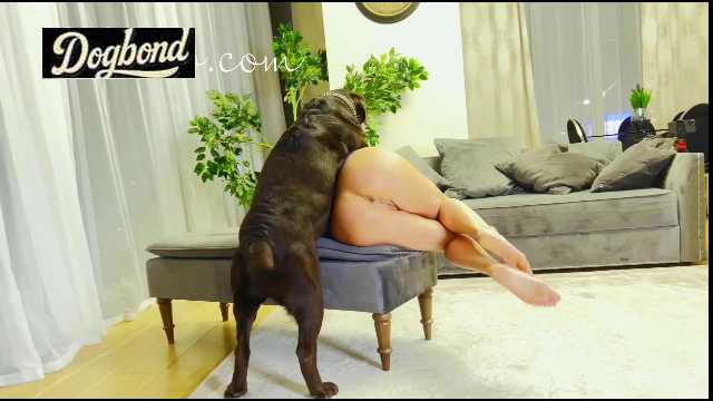 Filmes para Download xoxota fodas com animais Mulher trepando com cavalão enquanto marido cornao assiste animal sexo tubo Filmes Pornô Com Cachorros - Zoofilia Amadora cavalo gozando na buceta