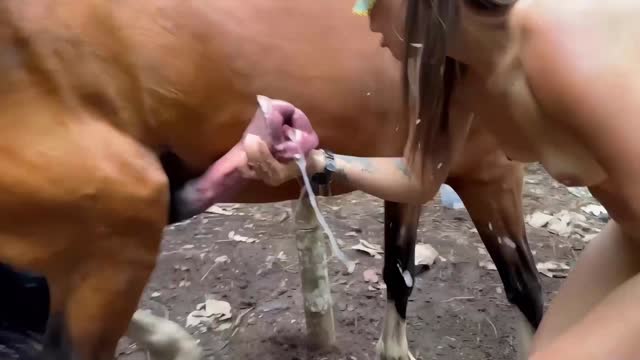 Filmes para Download xoxota fodas com animais Mulheres brasileiras trepam com garanhão Assista pornografia de bestialidade gratuita Mulher Transando Com Cachorro Zoofilia com uma loira gostosa