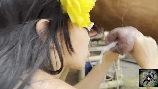 Filmes para Download xoxota fodas com animais Mulheres brasileiras trepam com garanhão Assista pornografia de bestialidade gratuita Mulher Transando Com Cachorro Zoofilia com uma loira gostosa