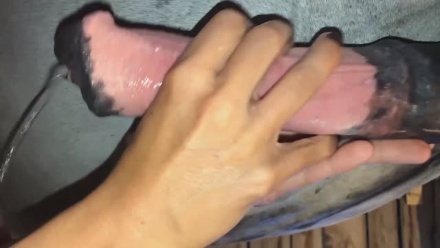 Filmes para Download xoxota fodas com animais Mulheres brasileiras trepam com garanhão Assista pornografia de bestialidade gratuita Mulher Transando Com Cachorro Zoofilia com uma loira gostosa