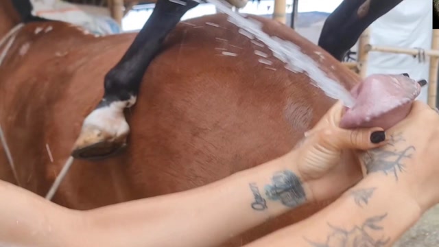 Filmes para Download xoxota fodas com animais Mia, Triana, Zaina, Valeria, Shantal, Lady Zoe, Andy, Xiomara Zoofilia Raven having sex with Dog animal sexo tubo k9lady