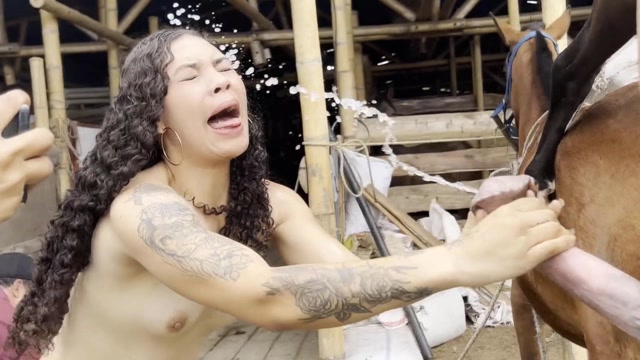 Filmes para Download xoxota fodas com animais Mulheres brasileiras trepam com garanhão Assista pornografia de bestialidade gratuita Mulher Transando Com Cachorro Zoofilia com uma loira gostosa