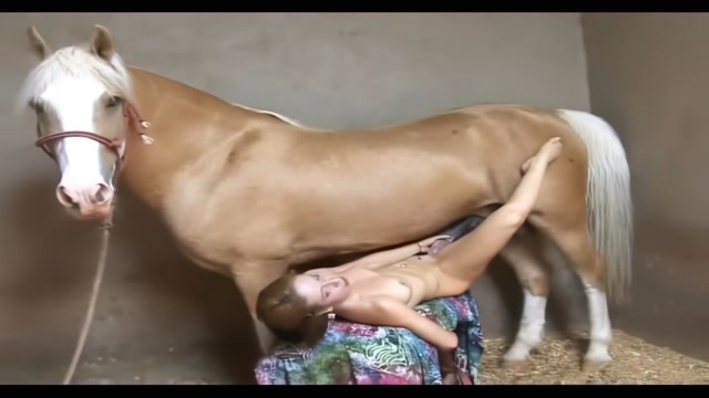 Filmes para Download xoxota fodas com animais animal sexo tubo sexo com cavalos e uma MILF cachorro comendo buceta Lise private club animalsex