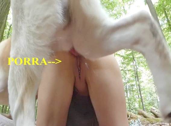 sexo bizarro Filmes para Download dogbond Cachorro dá um nó na buceta da e engata o pinto até gozar alisonprod namorada loira a transar com cavalo pornô zoofilia com oral