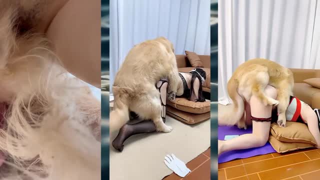 Filmes para Download xoxota fodas com animais Mulheres brasileiras trepam com garanhão Assista pornografia de bestialidade gratuita Mulher Transando Com Cachorro Zoofilia com uma loira gostosa