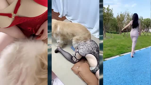 Filmes para Download xoxota fodas com animais Pornô de cavalo gozando dentro de mulher sexo com cavalos e uma MILF novinha gostosa brasileira dando a sua buceta para o cavalo cavalo de pau duro
