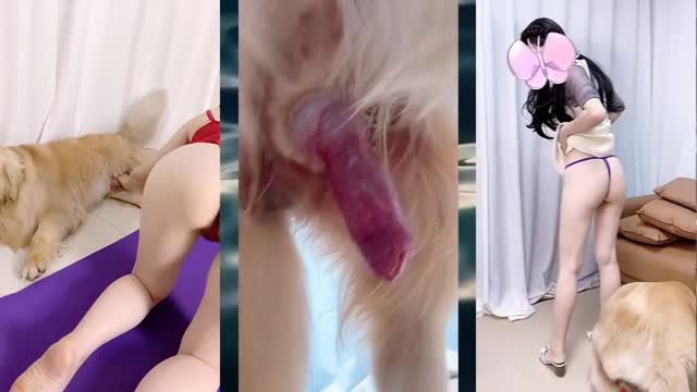Filmes para Download xoxota fodas com animais Vídeos porno de zoofilia con perros y caballos que follan a las chicas zoofílicas cachorro de pau duro Raven having sex with Dog Seamless