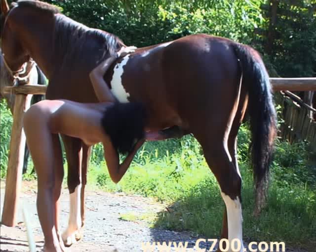 Filmes para Download xoxota fodas com animais zoofilia selvagem ZOO pornô com animais. vídeos gratuitos de bestialidade cavalo gozando na buceta filmes zoofiliade  brasileirinhas