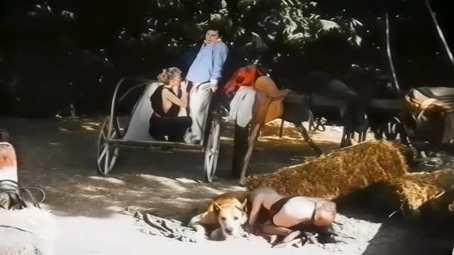 Filmes para Download xoxota fodas com animais zoofilia selvagem ZOO pornô com animais. vídeos gratuitos de bestialidade cavalo gozando na buceta filmes zoofiliade  brasileirinhas