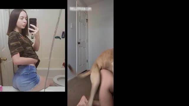 Filmes para Download xoxota fodas com animais Mulheres brasileiras trepam com garanhão Assista pornografia de bestialidade gratuita Mulher Transando Com Cachorro Zoofilia com uma loira gostosa